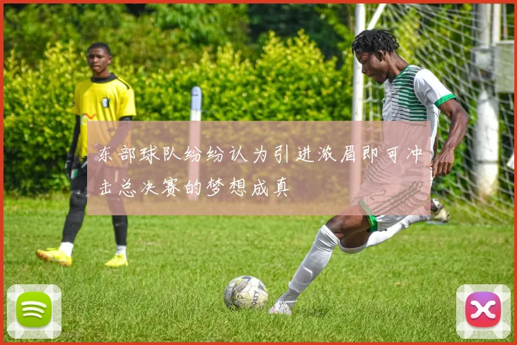 东部球队纷纷认为引进浓眉即可冲击总决赛的梦想成真