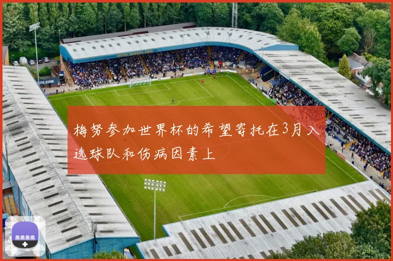 梅努参加世界杯的希望寄托在3月入选球队和伤病因素上